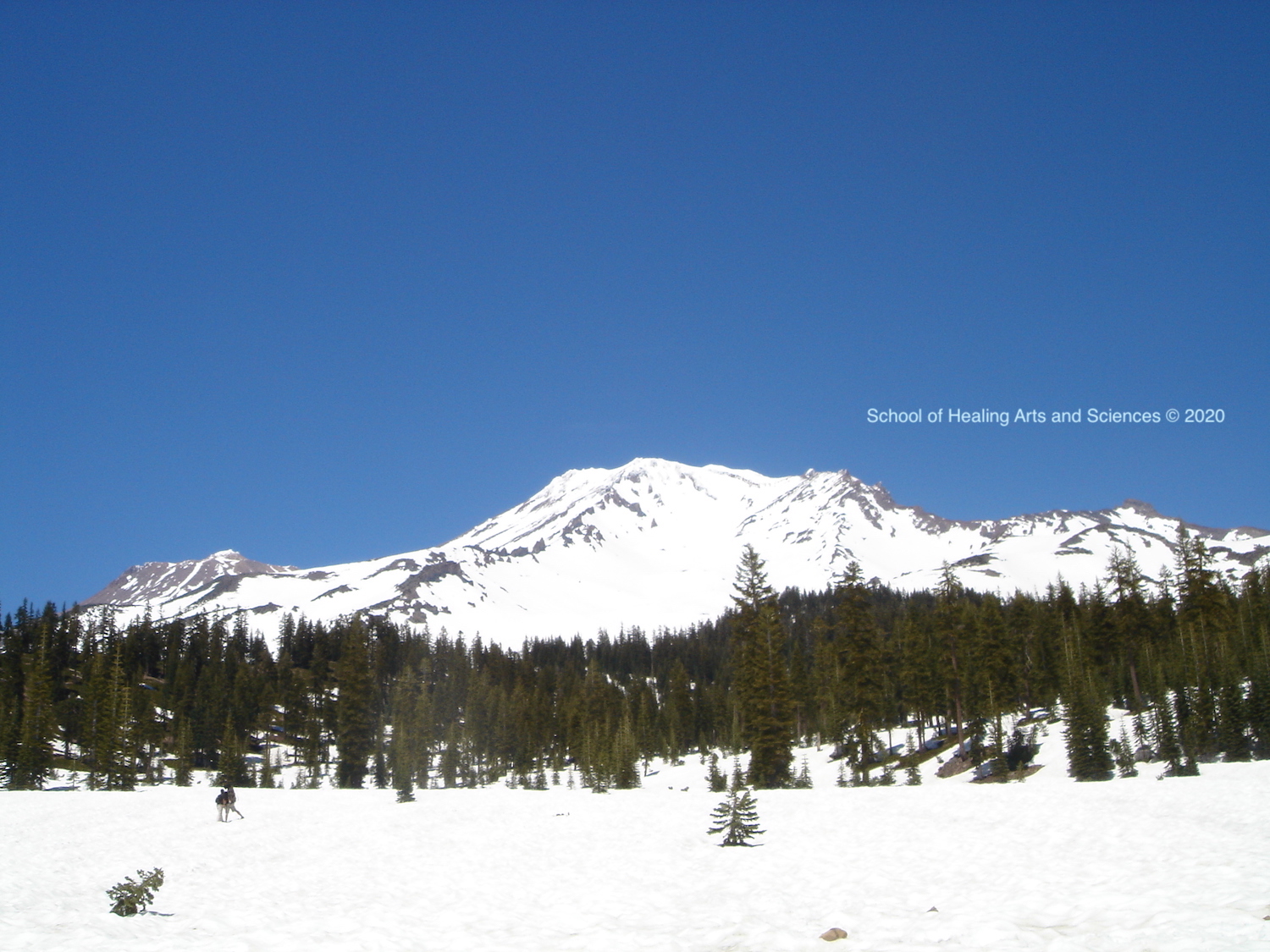 不況、リストラ……恐れに縛られずに生きるには。病気がからだからのメッセージなら、経済的な困難やリストラからのメッセージとは