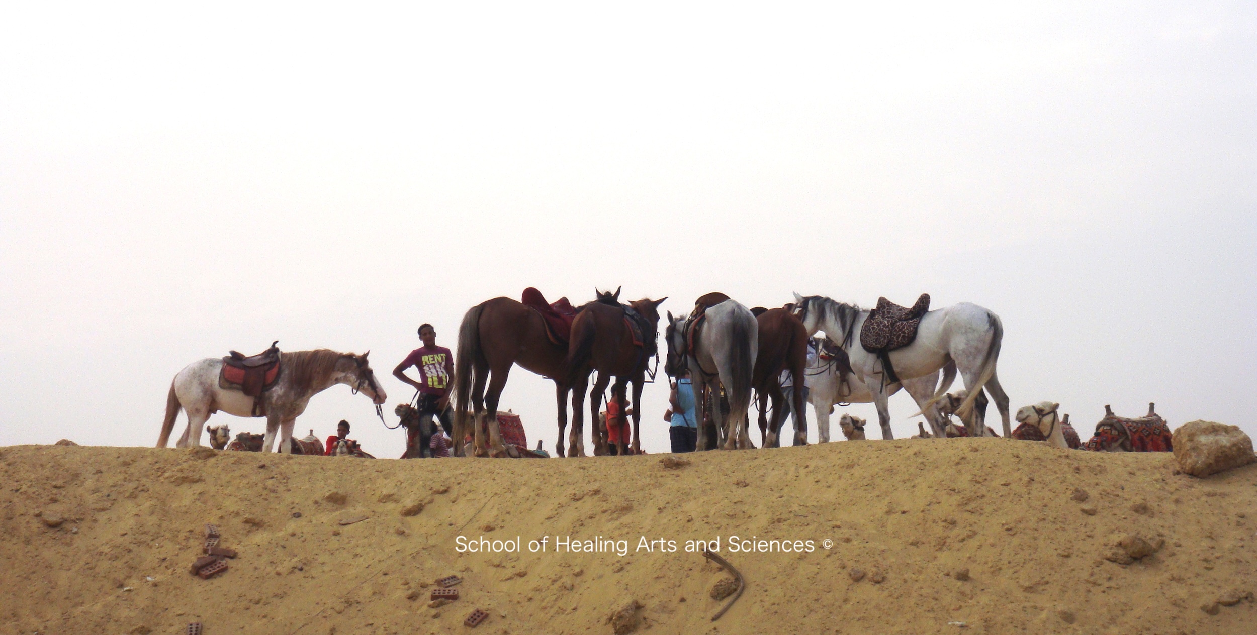 旅行記 エジプトで外乗 馬で砂漠を思い切り駆ける